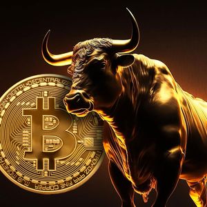 Bitcoin Bull Market Will Start, When BTC Takes Over This Price Point