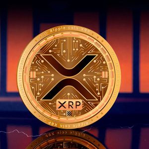XRP Moved to New Destination as Price Drops: Details