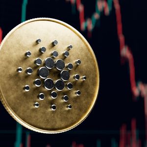 Cardano (ADA) Addresses in Loss Hits 93%, What's Happening?