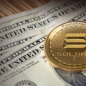 Solana (SOL) Developer Is Ready to Pay $400,000 If You Find This Piece of Code