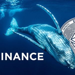 Dormant Ethereum Whale Sells Millions in ETH on Binance With Massive Profit: Details