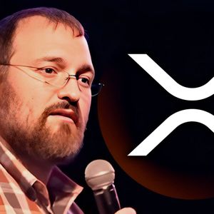 Cardano Founder Takes Jab at XRP Community