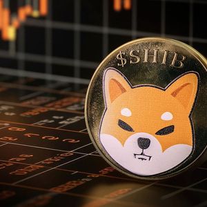 What Can Push Shiba Inu (SHIB) Away from Top 20 Coins?