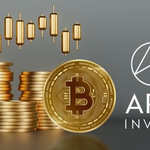 Bitcoin (BTC) Crucial Price Point Right Now Unveiled by Ex-ARK Invest Expert