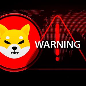 SHIB Team Member Issues Crucial Warning to Community: Details