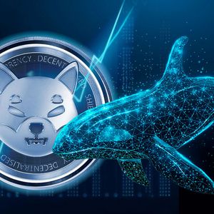 Half a Million in Shiba Inu (SHIB) Push This Whale's Portfolio to Lucky Number