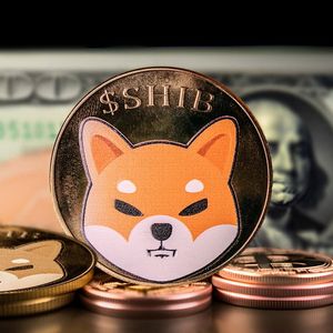 Shiba Inu (SHIB) Witnesses Unusual $40 Million Transaction Activity for Two Days in a Row