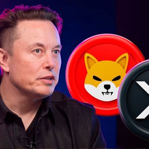 Elon Musk's New Cryptic Tweet Triggers Hot Response from XRP and SHIB Lovers