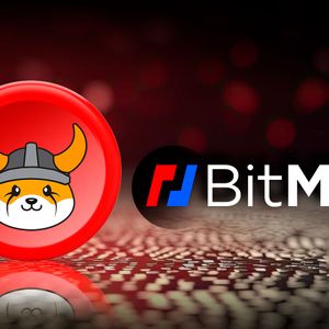 BitMEX Drops Trading Pair for Shiba Inu Rival Floki Inu