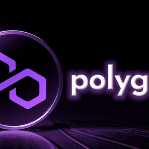 Polygon Named Protocol Council Members: Details
