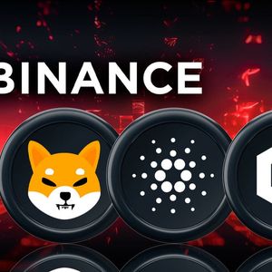 Binance Delists SHIB, ADA, and LINK Liquidity Pools