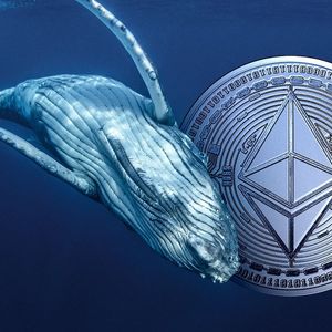 Massive Ethereum Whale With 4890 ETH Suffers Losses After Error Moves