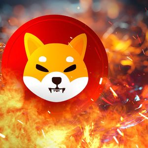 Shiba Inu (SHIB) Burn Rate Surges: Price's Reaction