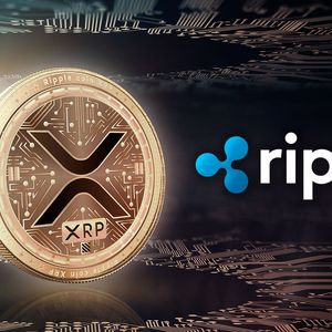 Almost 500 Million XRP Shoveled In Last 24 Hours, Ripple Giant Involved