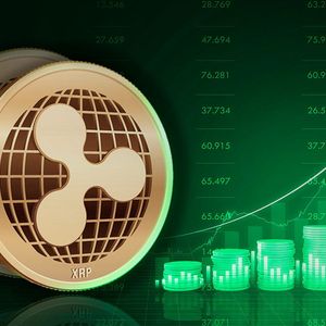 XRP Up 7% as Market Rally Gains Pace