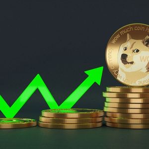 “Number Go Up”, Says Dogecoin Creator as DOGE Price Soars