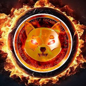 Shiba Inu (SHIB) Burn Rate Soar 567%, Here's How Price Reacts
