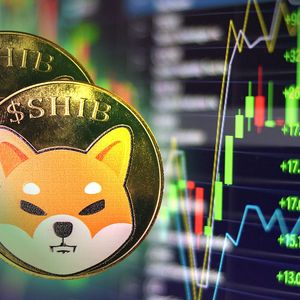 Shiba Inu (SHIB) Welcomes Setup for Next Mega Rally: Analyst