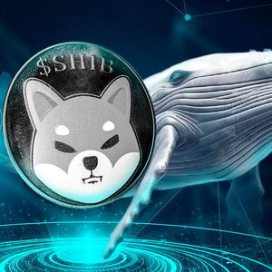 Mysterious Whale Invests $444,000 in SHIB as Shiba Inu Price Eyes 118% Upside