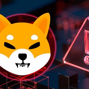 SHIB Official Warns SHIB Army About Crucial Bug in Shibariumscan