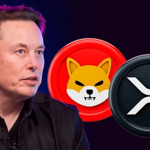 Elon Musk's Tweet Raises Questions from XRP and SHIB Armies