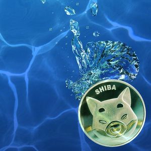 SHIB: Bottom Signals Everywhere – Trader Scott Melker