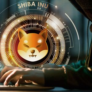 Shiba Inu Lead Kusama Teases Significant Changes