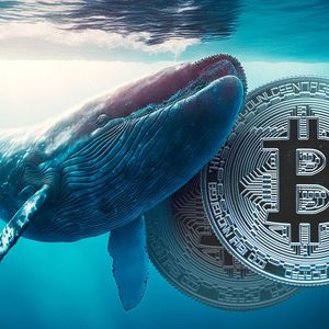 Bitcoin (BTC) Whales Are Aggressively Accumulating: Onchain Data