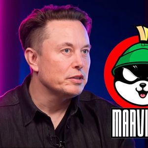 Elon Musk's X Post Makes This Meme Coin Jump 94%