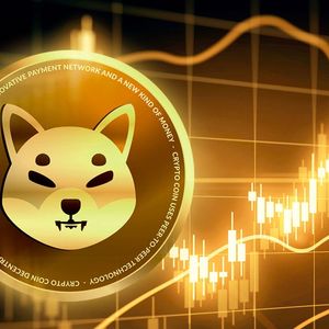 Shiba Inu (SHIB) Onchain Flows Skyrocket by 1170%, Here’s What’s Driving It