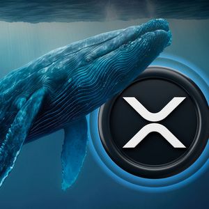XRP Whale Moves 412M Coins in One Move, What is the Plan?