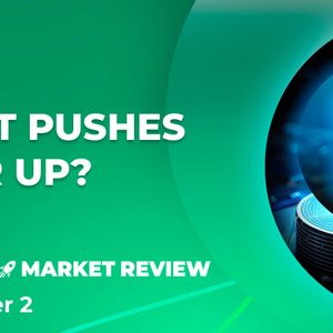 Near Protocol's (NEAR) 46% Rally: Here's What Truly Behind It