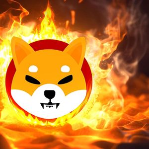Shiba Inu Burn Rate Jumps 535% With Quarter Billion SHIB Burned