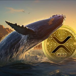 XRP Whales Are Responsible For This 23% Price Increase, But There's More