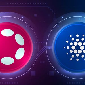Polkadot (DOT) Makes Cardano Announcement, What It Relates To