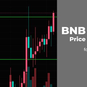 BNB and ADA Price Analysis for November 6