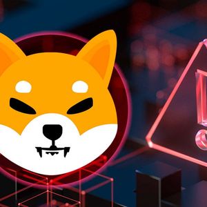 New Big SHIB Project Website Faces Issue With User Login Feature