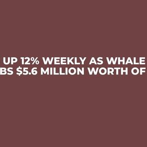 BNB Up 12% Weekly As Whale Grabs $5.6 Million Worth of It