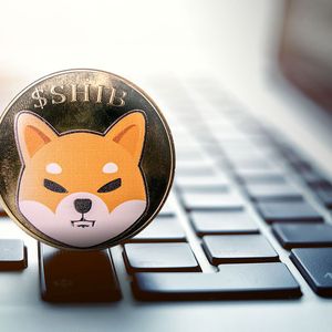Shiba Inu (SHIB) Forms Crucial Divergence You Don't Want to Miss