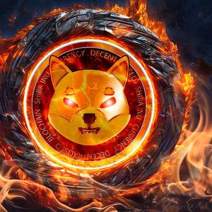 Amazing 500 Million SHIB Burned, SHIB Team Reveals Who Did It
