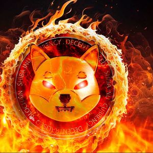 SHIB Burns Jumped Whopping 35,614% on Sunday – What Happened?
