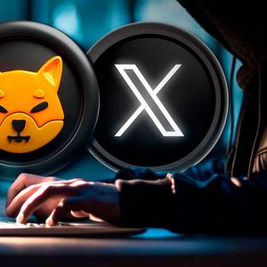 SHIB Team Puzzles Shiba Inu Army With Cryptic Tweet