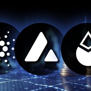 3 Reasons Why ADA, AVAX, LDO Deserves Special Attention