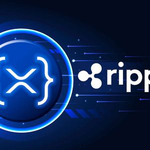 RippleX Provides $1.3 Million Support to These High Potential Fintech XRPL Projects