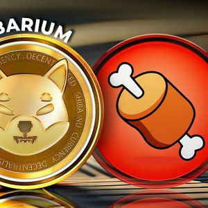 Shiba Inu’s BONE Gains Traction With Latest Listing