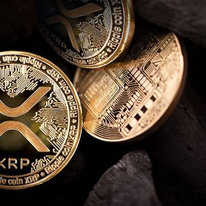 XRP Price Hits Adamantium Support Level: Up From Here?