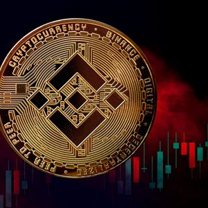 Binance Records $1B in Outflows, Is Binance Too Big to Fail?