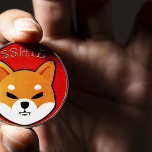 Shiba Inu's Shibarium Sees Massive Increase in Transactions