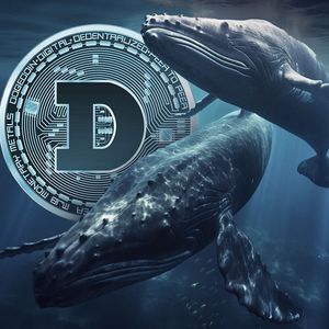 Ancient Dogecoin (DOGE) Whales Are Waking Up: Price to Rally?
