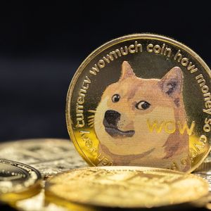 Dogecoin (DOGE) Sees Surge in Massive Transactions